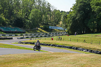 cadwell-park;cadwell-park-photographs;cadwell-trackday-photographs;enduro-digital-images;event-digital-images;eventdigitalimages;peter-wileman-photography;racing-digital-images;trackday-digital-images;trackday-photos